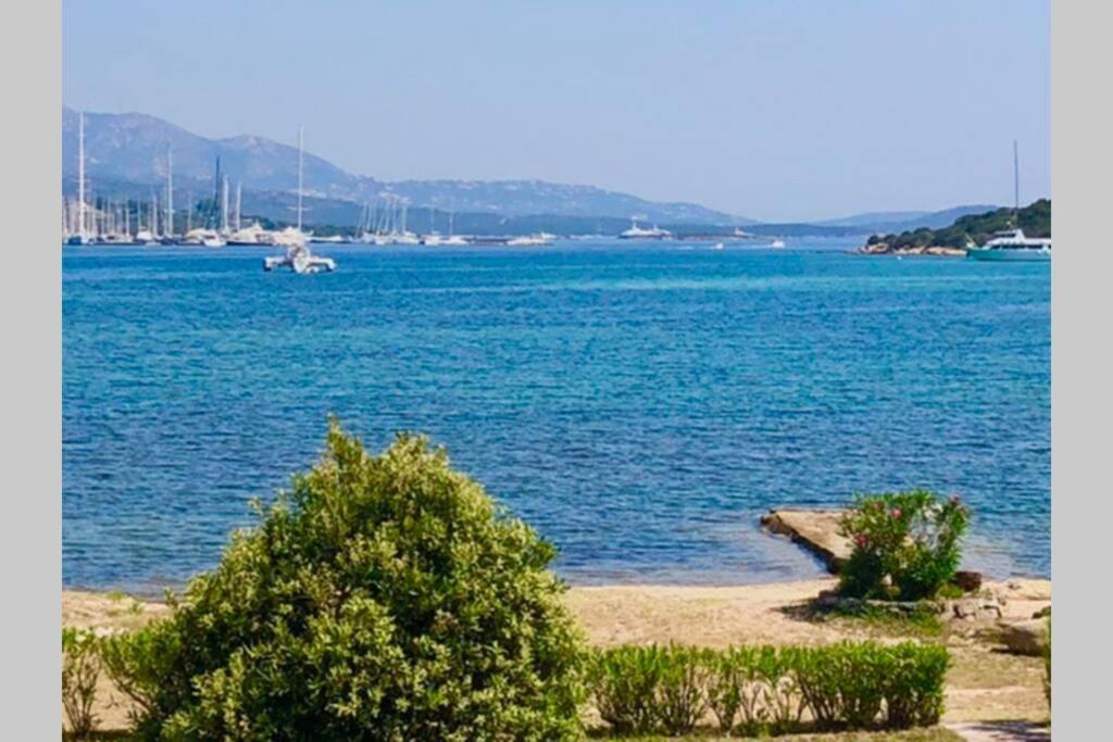 Villa Oleandri Porto Rotondo Exterior foto